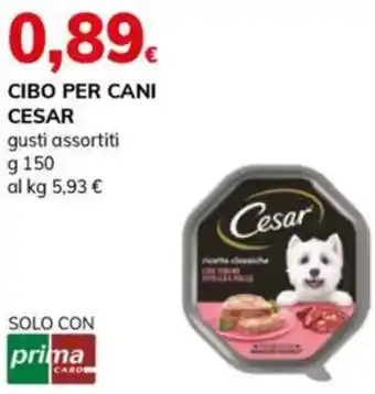 Basko Cibo per cani CESAR offerta