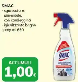 Basko SMAC - sgrassatore universale, con candeggina offerta