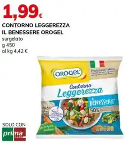Basko Contorno leggerezza il benessere OROGEL offerta