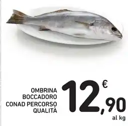 Spazio Conad Ombrina boccadoro conad percorso qualità offerta