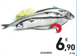 Spazio Conad Sgombro offerta