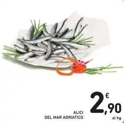 Spazio Conad Alici del mar adriatico offerta