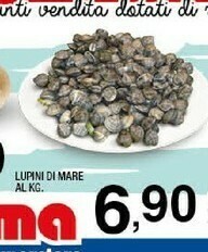 Sigma Lupini di mare offerta