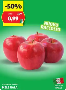 ALDI I colori del sapore mele gala offerta