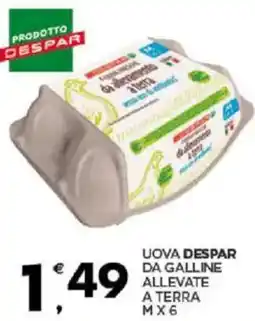 Despar Uova despar da galline allevate a terra mx6 offerta