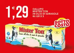 Vantaggio Cash&Carry Callipo mister ton in olio di girasole offerta