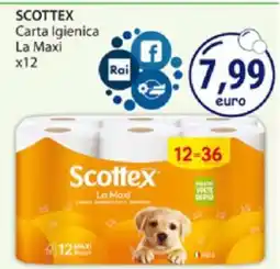 Acqua & Sapone SCOTTEX offerta