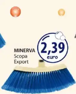 Acqua & Sapone MINERVA Scopa Export offerta