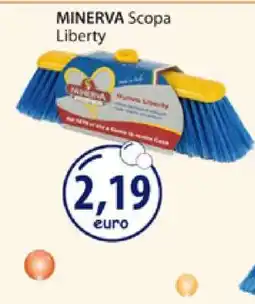 Acqua & Sapone MINERVA Scopa Liberty offerta