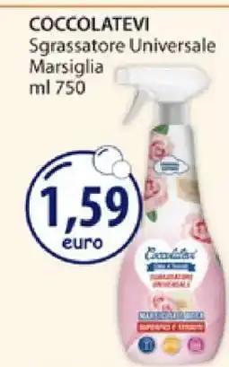 Acqua & Sapone COCCOLATEVI Sgrassatore Universale Marsiglia offerta