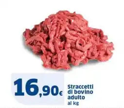 Sigma Straccetti di bovino adulto offerta