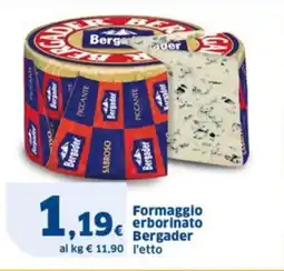 Sigma Formaggio erborinato Bergader offerta