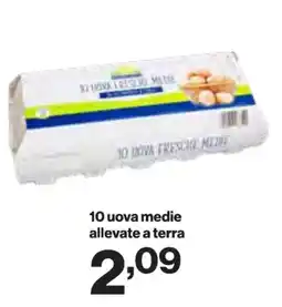 In'S Mercato 10 uova medie allevate a terra offerta