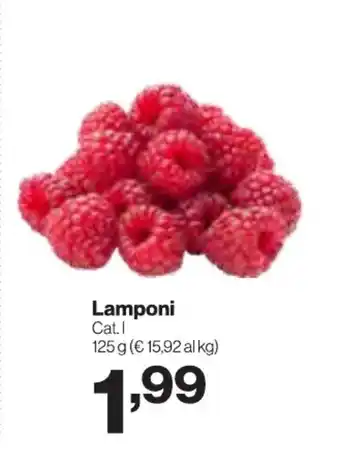 In'S Mercato Lamponi offerta