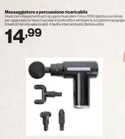 In'S Mercato Massaggiatore a percussione ricaricabile offerta
