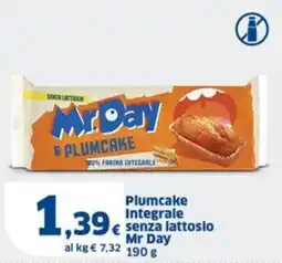 Sigma Plumcake Integrale senza lattosio Mr Day offerta