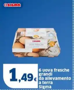 Sigma 6 uova fresche grandi da allevamento a terra sigma offerta