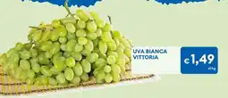 MD Discount UVA bianca vittoria offerta