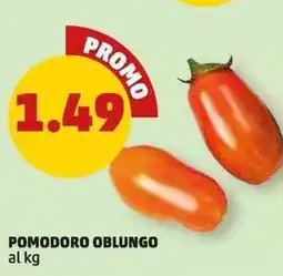 PENNY Pomodoro oblungo offerta