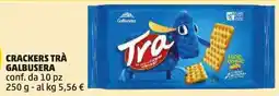 PENNY Crackers trà GALBUSERA offerta