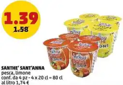 PENNY Santhe' SANT'ANNA offerta