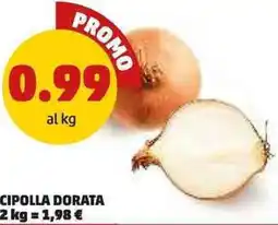 PENNY Cipolla dorata offerta