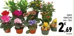 Conad Superstore Piante fiorite mix offerta