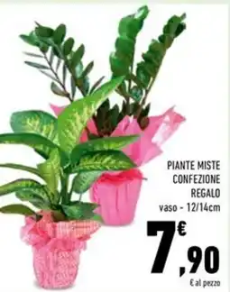 Conad Superstore Piante miste confezione regalo offerta