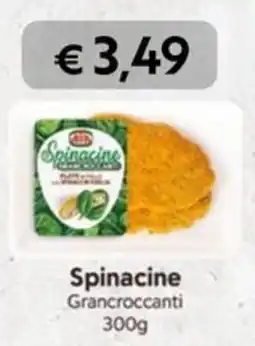 Conad Superstore Spinacine Grancroccanti AIA offerta