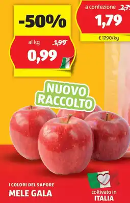 ALDI I colori del sapore mele gala offerta