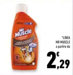 Conad Superstore Linea MR MUSCLE offerta