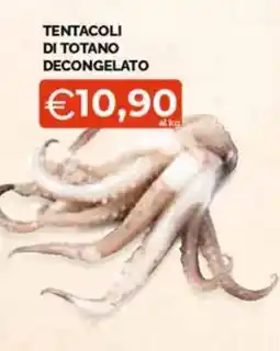 Mercatò Big Tentacoli di totano decongelato offerta