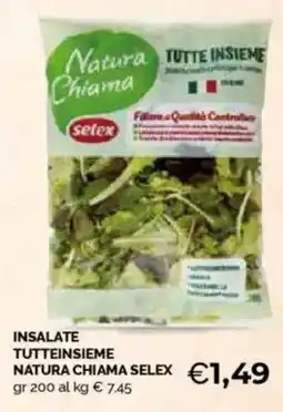 Mercatò Big Insalate tutteinsieme natura chiama SELEX offerta