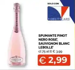 Mercatò Big Spumante pinot nero rose, sauvignon blanc lebolle offerta