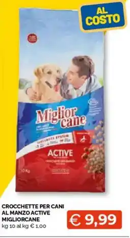 Mercatò Big Crocchette per cani al manzo active migliorcane offerta