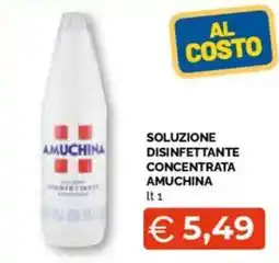 Mercatò Big Soluzione disinfettante concentrata AMUCHINA offerta