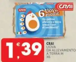 Crai CRAI uova da allevamento a terra m x 6 offerta