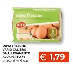 Mercatò Big Uova fresche vario calibro da allevamento all'aperto x6 offerta