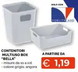 Mercatò Big Contenitori multiuso box “bella" offerta