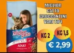 Supermercato Papale Miglior gatto croccantini vari tipi offerta