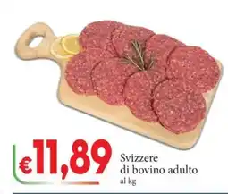 D'Italy Svizzere di bovino adulto offerta