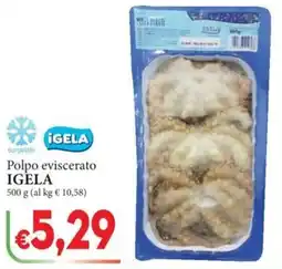 D'Italy Polpo eviscerato IGELA offerta