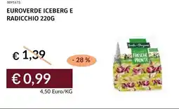 Prezzemolo e Vitale Euroverde iceberg e radicchio offerta