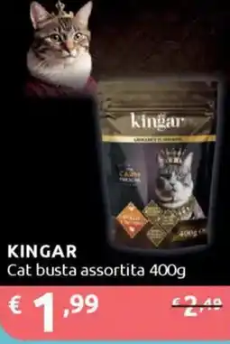 Ipersoap KINGAR Cat busta assortita offerta