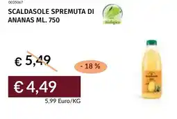 Prezzemolo e Vitale Scaldasole spremuta di ananas offerta
