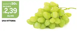 Ekom UVA vittoria offerta