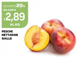 Ekom Pesche nettarine gialle offerta