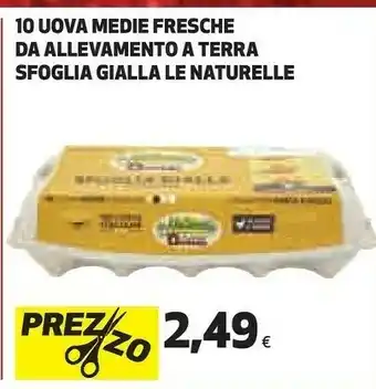 Ipercoop 10 uova medie fresche da allevamento a terra sfoglia gialla offerta