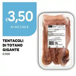 Ekom Tentacoli di totano gigante offerta