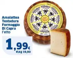 Sigma Amalattea Testadura Formaggio DI Capra l'etto offerta